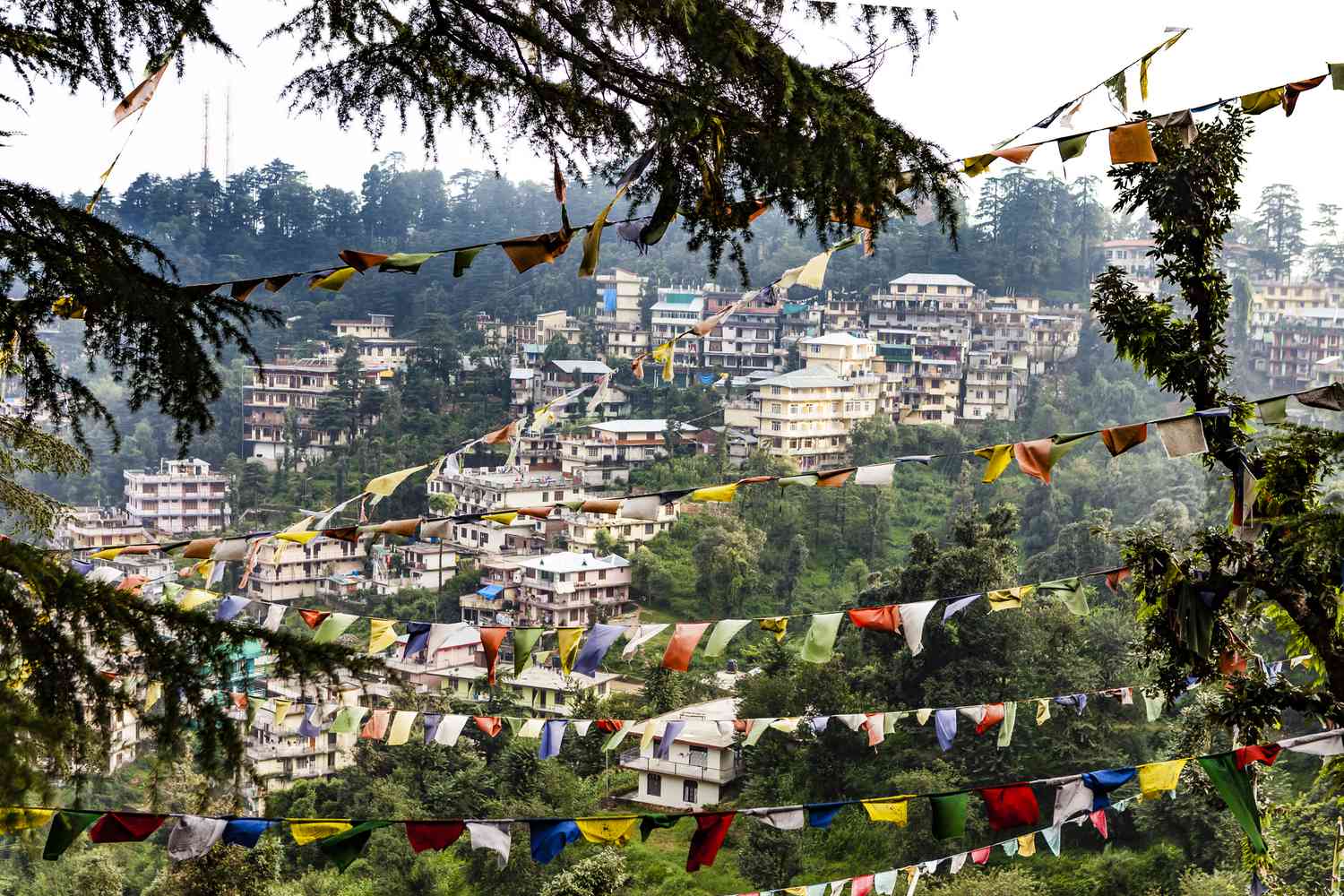 Dharamshala + Chamba