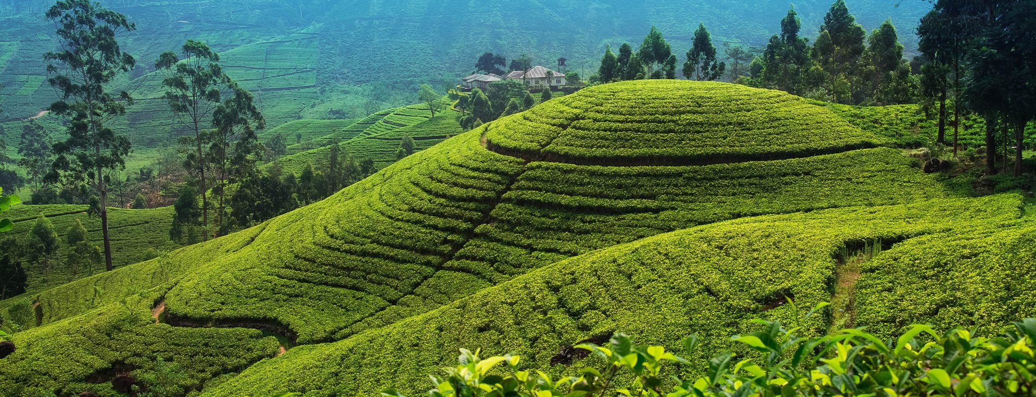 Sri Lanka