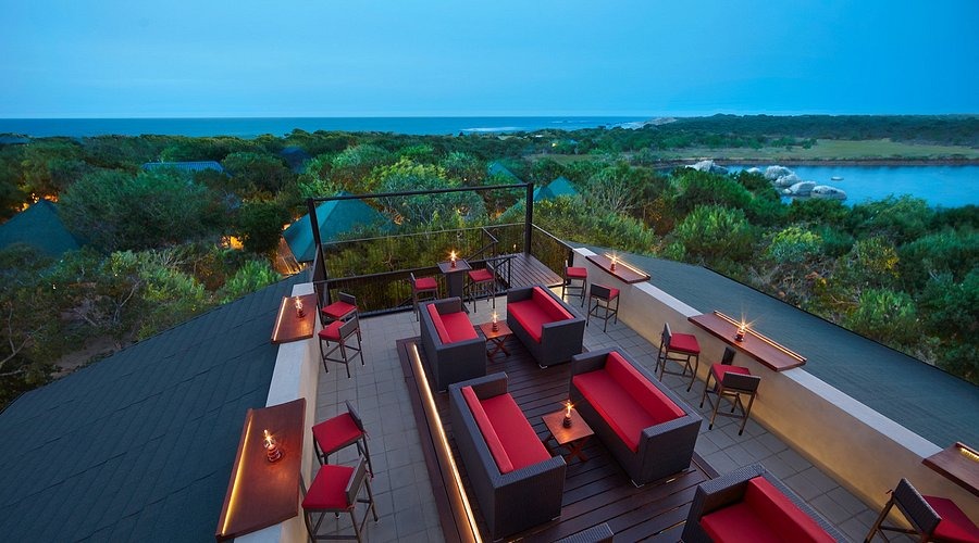 Cinnamon Wild Yala