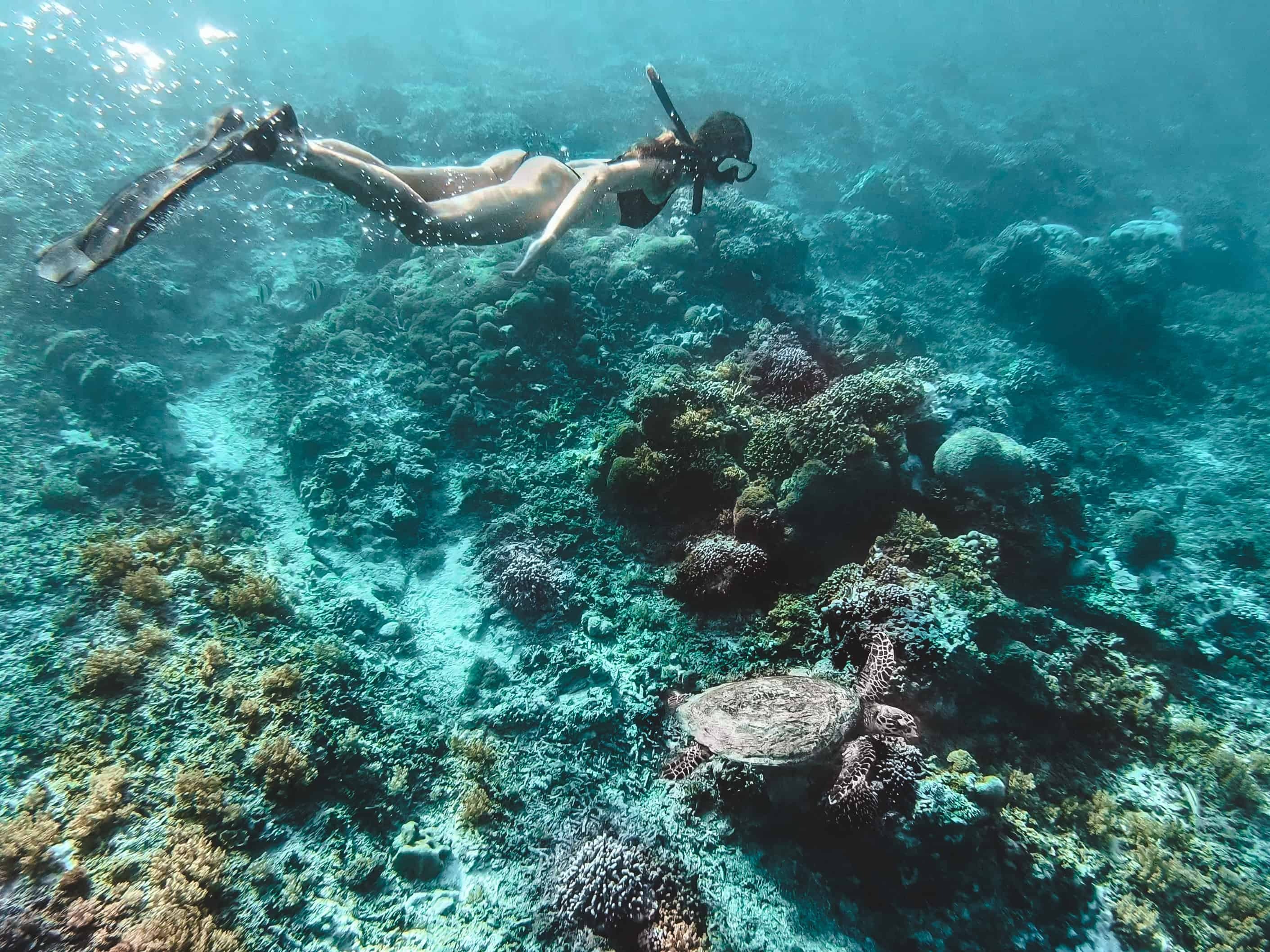 Gili Islands Snorkel & Slow Day