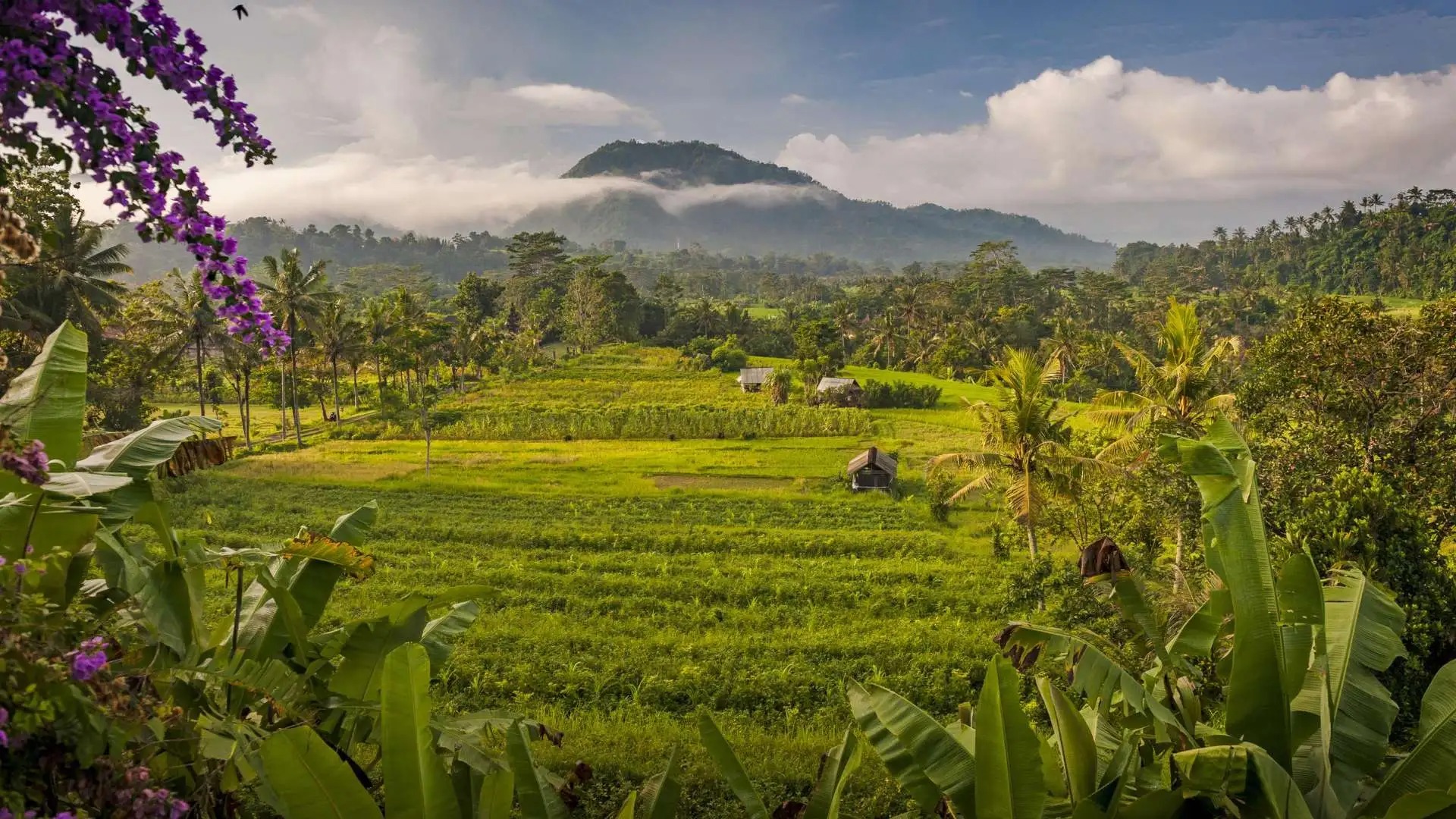Sidemen Valley · The Hidden Bali