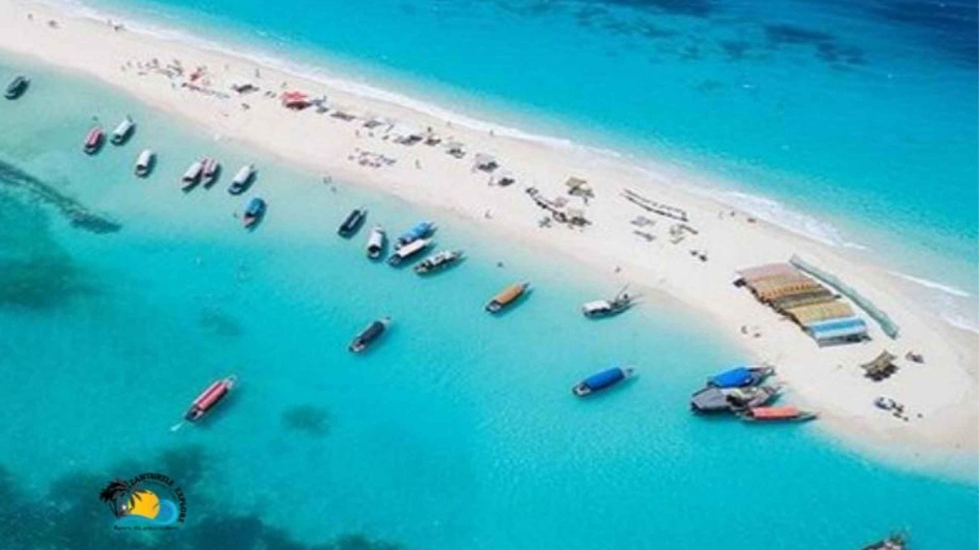 Sandbank Picnic & Dolphin Cruise
