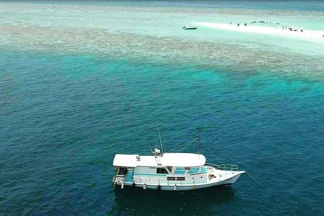 Sandbank Picnic & Dolphin Cruise