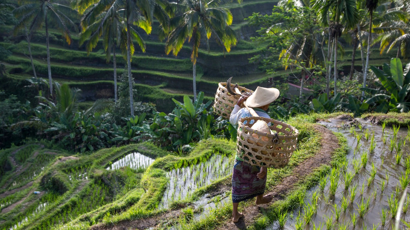 Ubud Culture