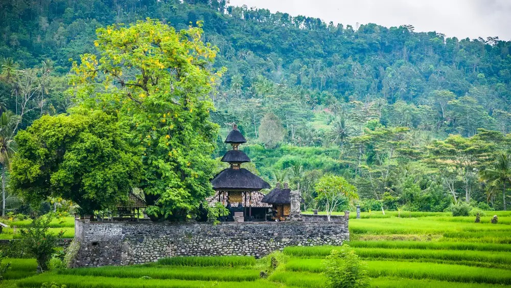 Sidemen / Ubud to Seminyak