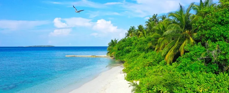 Maldives - Indian Ocean Trinity (Luxury)